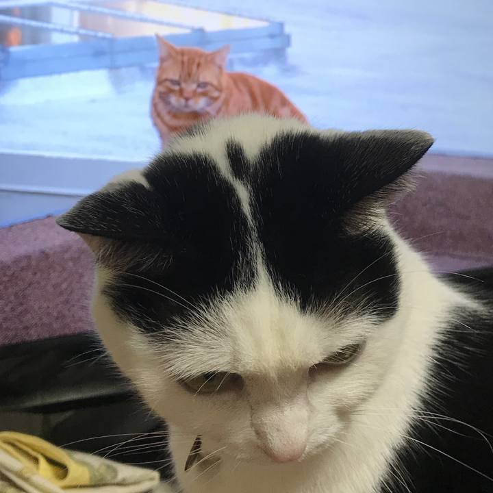 Bdd3986b 3ca2 4094 b16c c0d7ef564e67 1517138756754