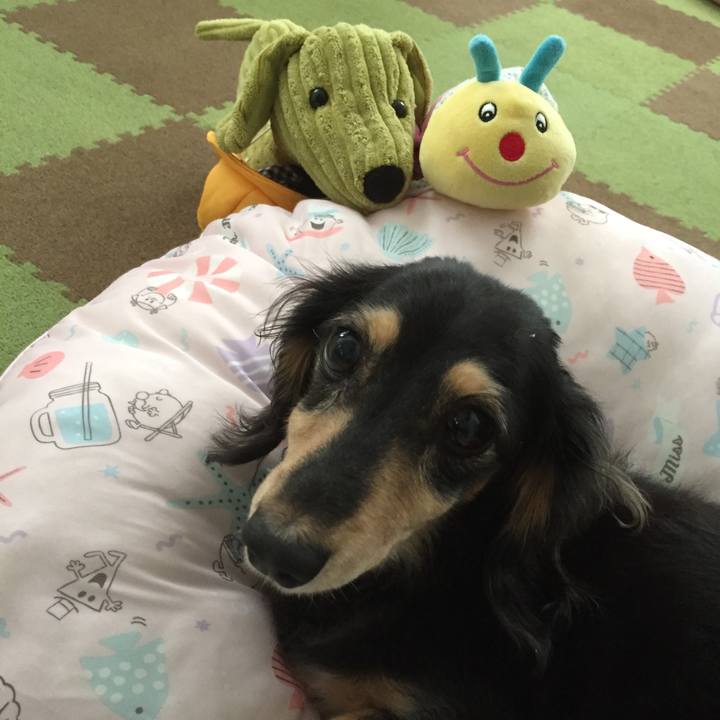 Bdd3c6f7 c1e7 454e 9034 5de44c27c3ad 1537660274019