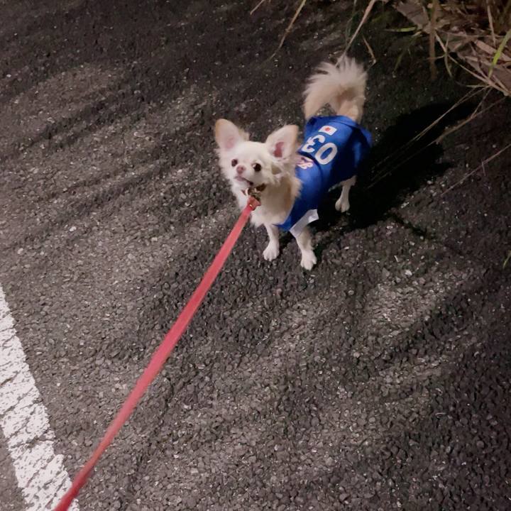 Bdd3cdc9 39e6 4060 a17e 6fd144ed0ac2 1693280369959