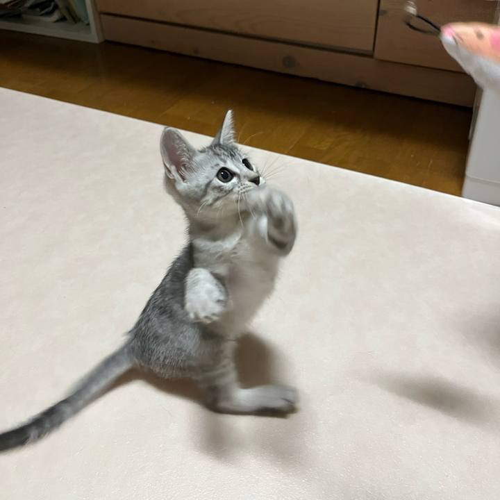 Bdd3e19d 7164 41c8 bab5 d8880903d3c5 1696545824133