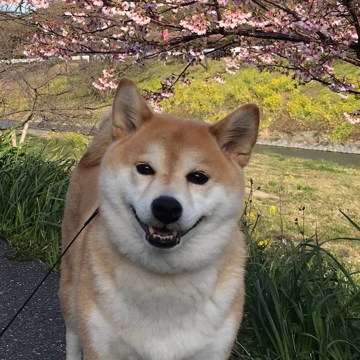 Bdd400f4 6e8f 44f3 80f9 5aea753c5bcb 1586186158248