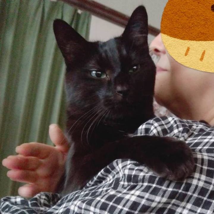 Bdd40d7b e0bb 4d88 a39d de20880ead7f 1638069206602