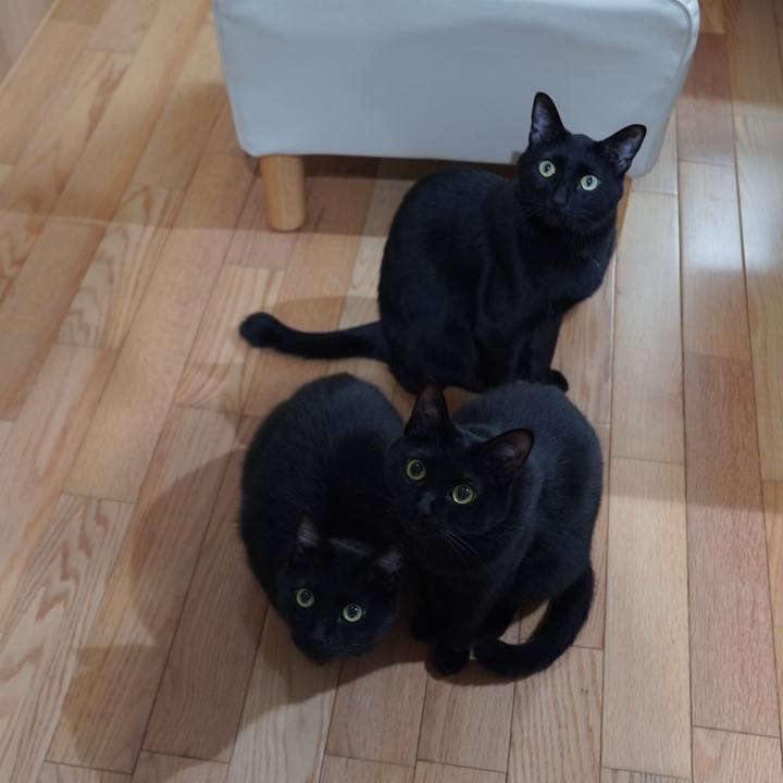 Bdd4103c ec2d 47e6 8fbe 39d9ad2f3e8e 1615551916654