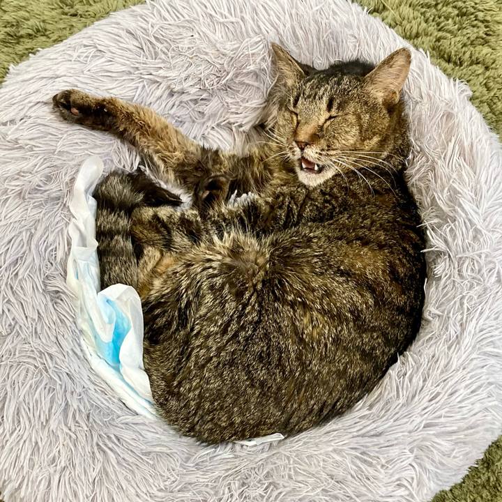 Bdd41098 d467 447a 847b 04124e047b7c 1687472283894