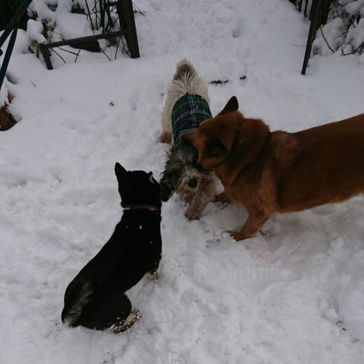 Bdd431ae e9ce 4934 95d8 2840261fb440 1518313904164