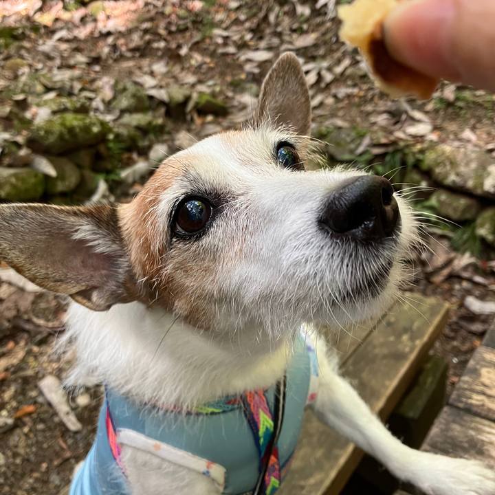 Bdd43fb8 05f0 4c91 a0d8 068e2da11782 1729903619176