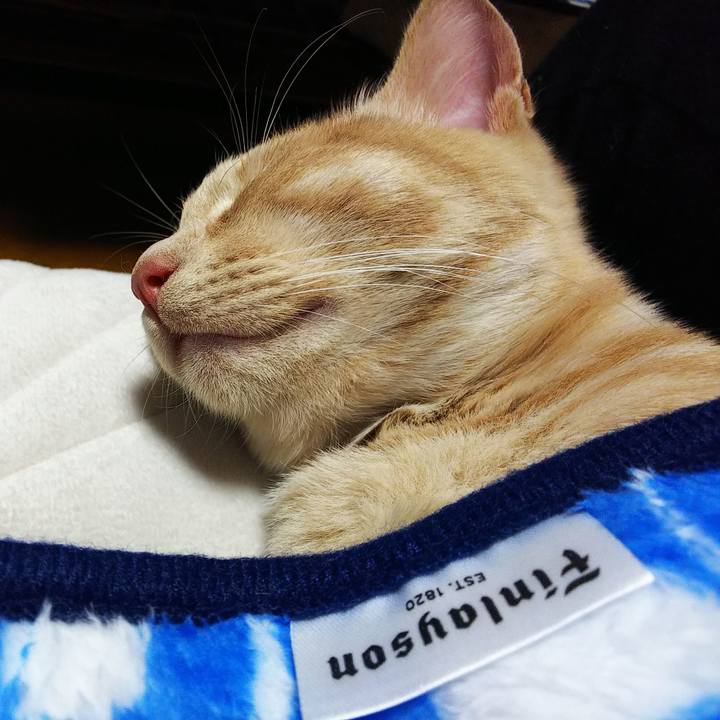 Bdd44a76 a8df 4160 83da e13afbb1ccdf 1545464345862