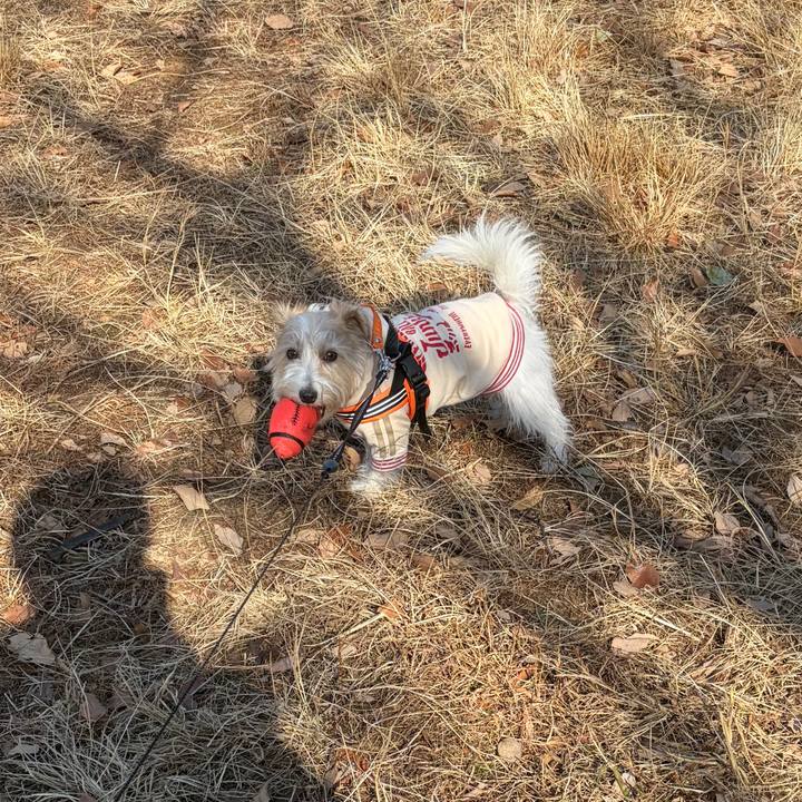 Bdd49437 f2ea 4e4c 9b95 4fb6f8fa475e 1768707469441