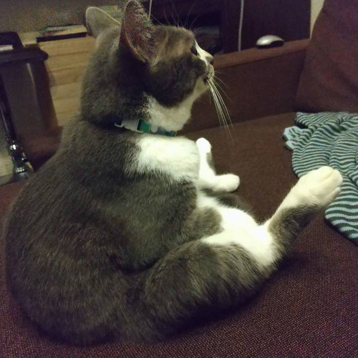 Bdd49973 dfe3 4706 94ae bda35805ffb9 1631533076383