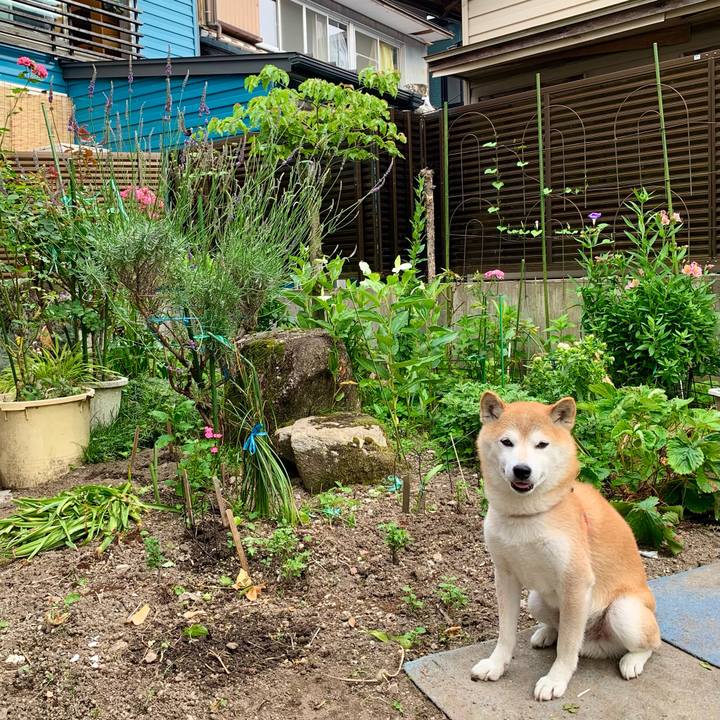 Bdd4d893 b3c6 4a22 a61e d522661de9fe 1687769072186