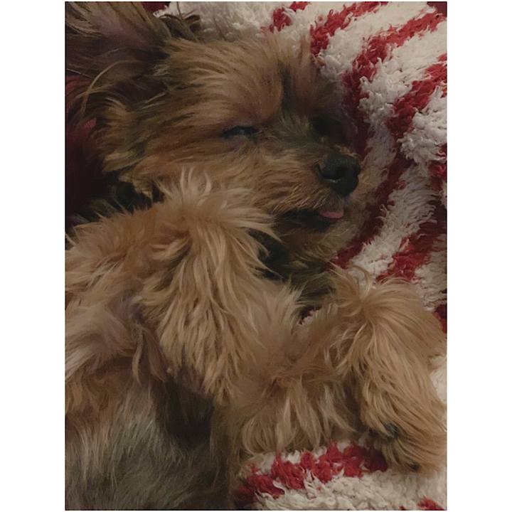 Bdd4f063 790c 4303 aa46 e822559317d7 1621766027037