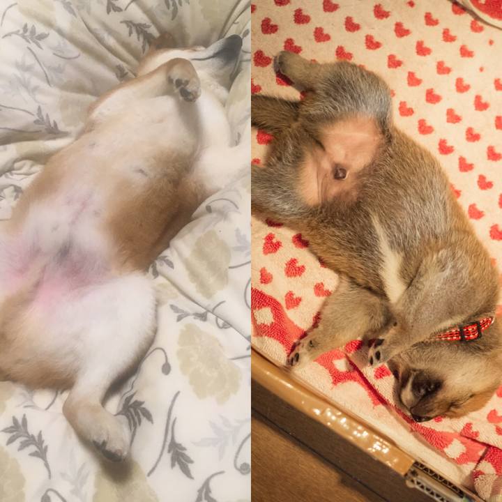 Bdd4f6e1 dc1f 4c3b a66e c9442c9c70cf 1587450993861