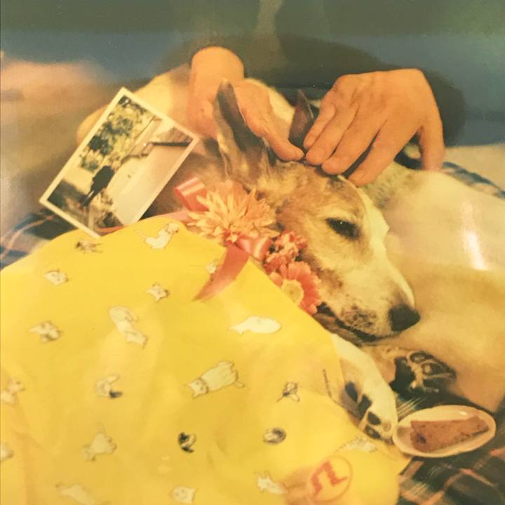 Bdd4fd86 433e 48b3 bd6a 6ac11b50d9e0 1524302902214