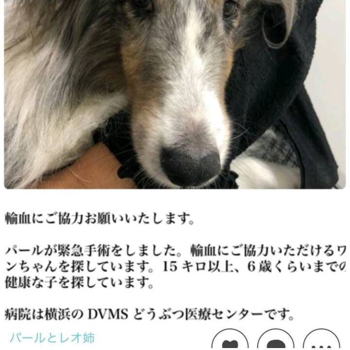 Bdd50883 9607 44c8 8861 8a08b515943b 1537749073960