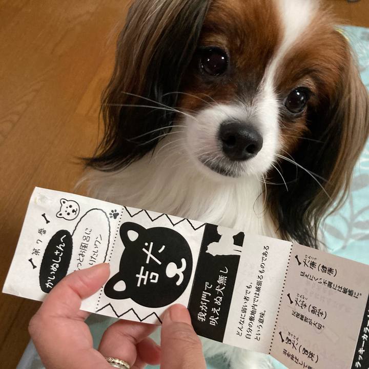 Bdd50aec c814 4fe0 9dbf 83e41e57d0e2 1633245609954