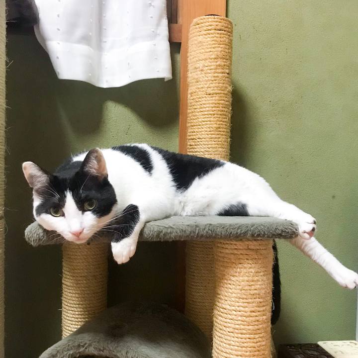 Bdd581b8 9b09 494f a0c2 a09ff872b6dc 1525224605445