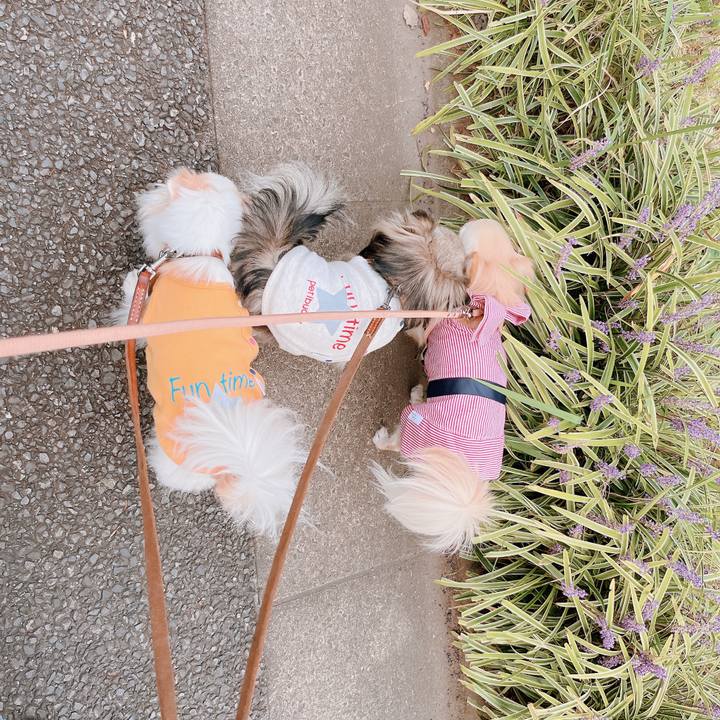 Bdd5b75b afb2 4801 bd98 df1c7f879f10 1664876907577