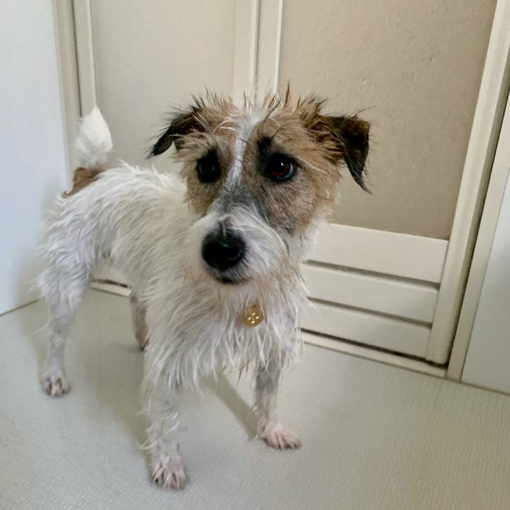 Bdd5db4b 0a26 4804 995a 92453c29a61f 1627797031613