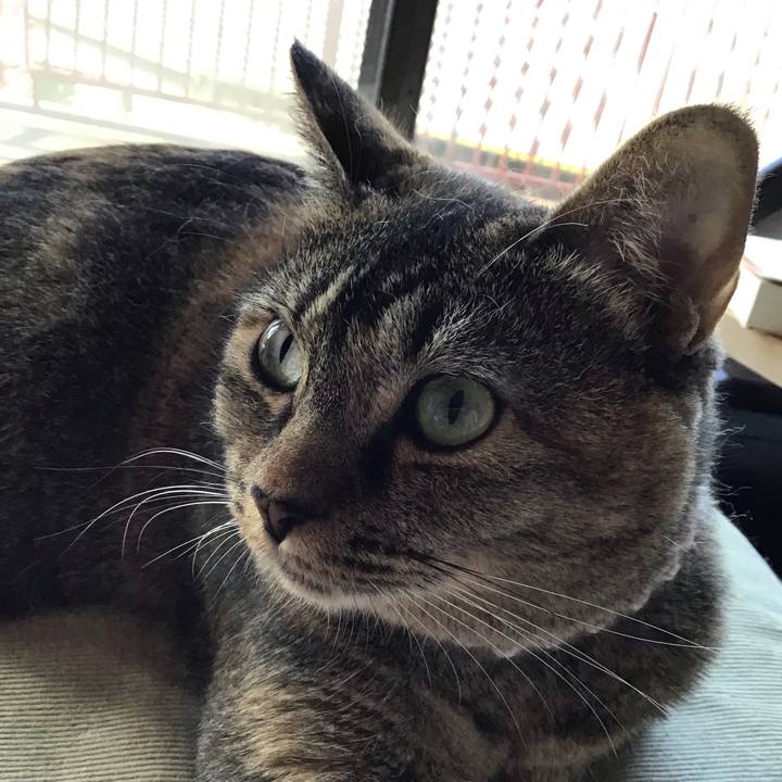 Bdd61659 4bb8 417c 8bbf 533d6f0ad9f1 1661726183405