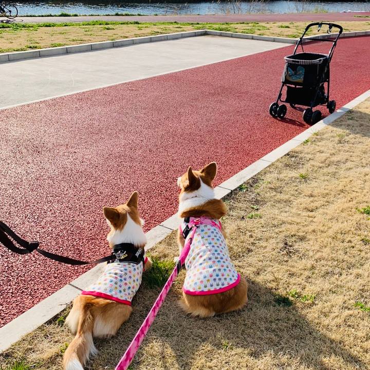 Bdd637a9 56f3 4243 a687 624eeda04fe2 1584330093149