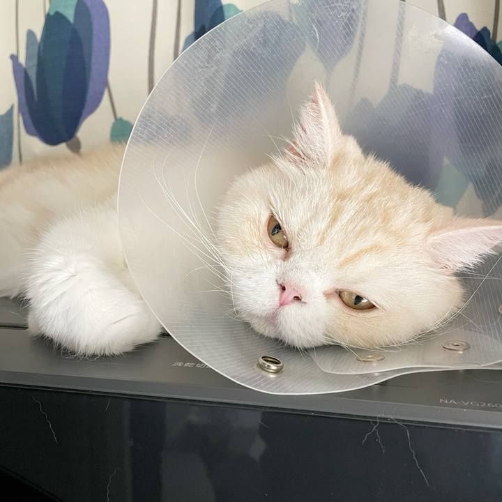 Bdd63be9 48da 4dc0 83dd 7fddecc66f77 1755931632466