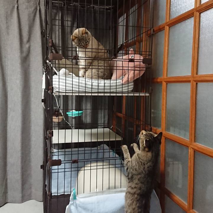 Bdd673a3 e063 412a b7c6 e9be597a6ef2 1579969474087