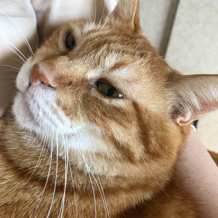 Bdd67607 ec6a 40b9 b89b c8bfc7288734 1632011807855