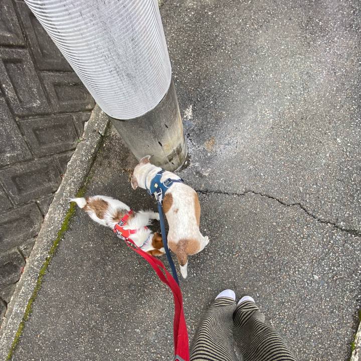 Bdd6e312 9ee8 46ba 87b4 aef67b059739 1677019765828