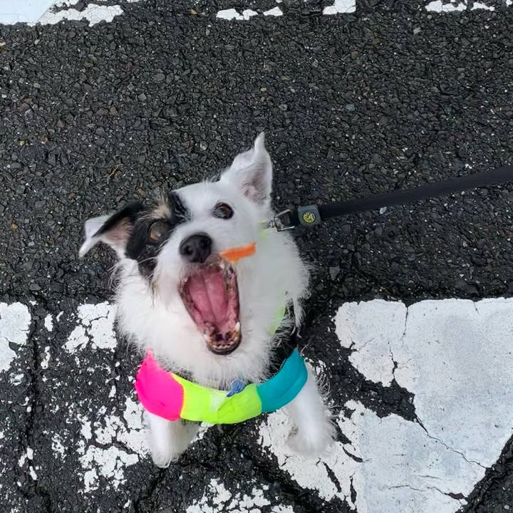 Bdd6e507 cbbe 47de a7ed bdda95efcdba 1725059627741