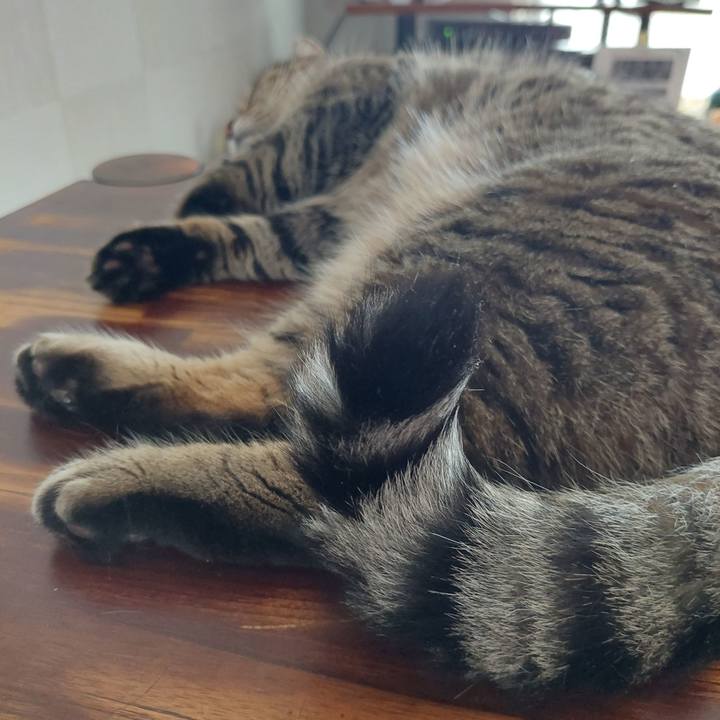 Bdd6e6ba 2445 442c 9339 8f6e212509e2 1661041945009