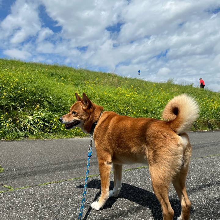 Bdd6e71a b533 4dfd 9195 ecbee05be34c 1681615852426