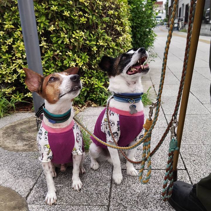 Bdd6f09d c3ed 43a8 9f7e fe22fe03432e 1724451977732