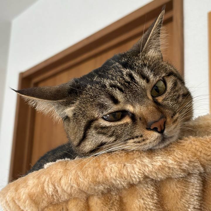 Bdd6f21b c349 4d7f 8536 20b34353ce4d 1770949417906