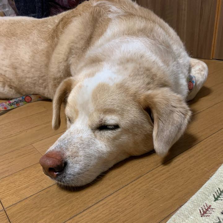 Bdd6fa21 d9d6 4dd0 bfd2 c9f36331c945 1589897041078