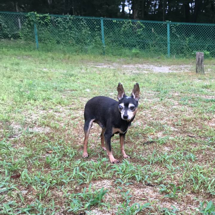 Bdd72357 a189 4135 b5da 09cdd54d01de 1566302853981