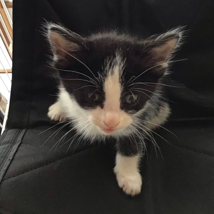 Bdd73143 43c1 4554 9f2e c5e42a1ed971 1622692754350