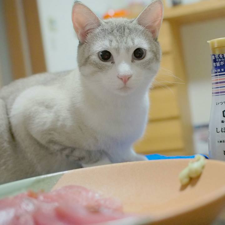 Bdd76669 d3a9 4b4f aab1 8e94ab8efe63 1533982553359