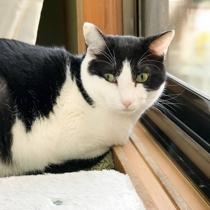 Bdd7a26c 9eef 4c3f 9795 890ab550bb29 1521854882401