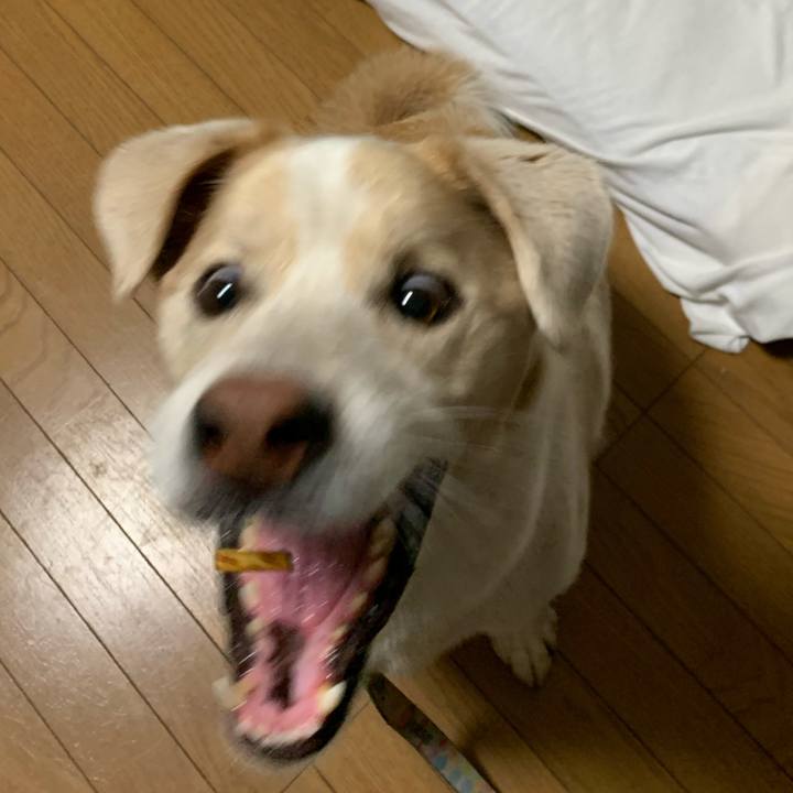 Bdd7e6ea 5ced 4d75 9f05 9f070e436b4e 1597665742527