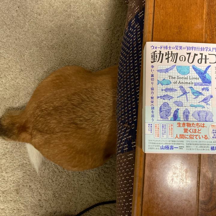 Bdd864af c09a 495a 96d9 c84c982c0921 1714005819990