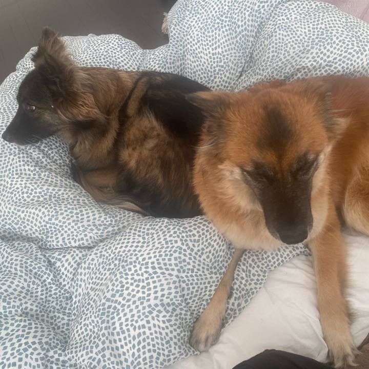 Bdd87692 535a 461e b71c 9e419e96e61a 1772604826070