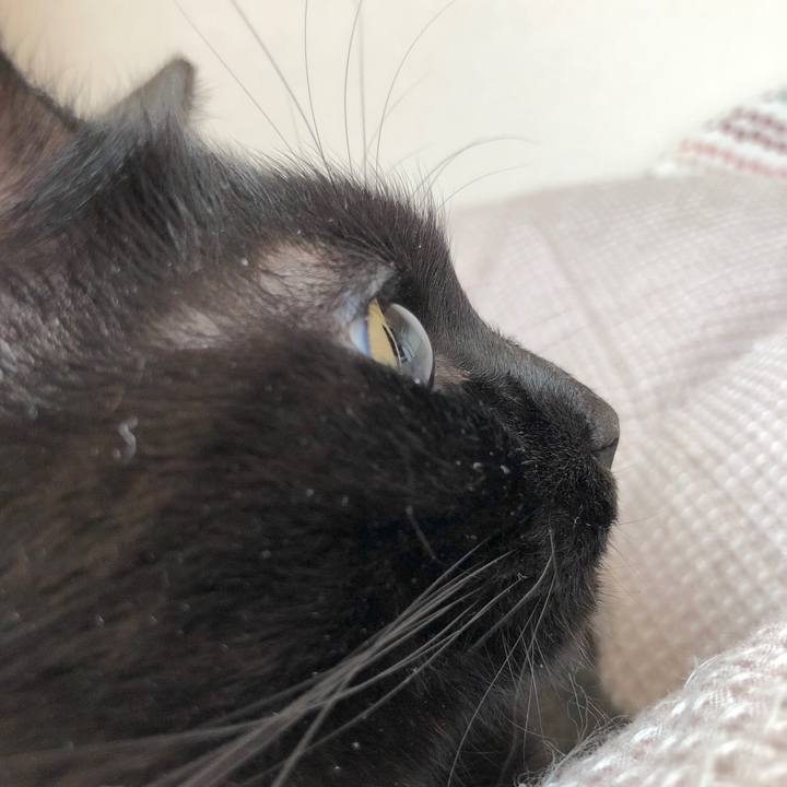 Bdd8a060 ae41 43df 86ac ee846288fb6f 1515024108879