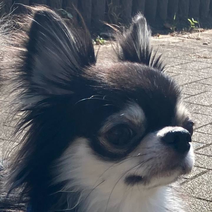 Bdd8c21a 2849 45a2 8b3b db524c97f4ab 1636174368406