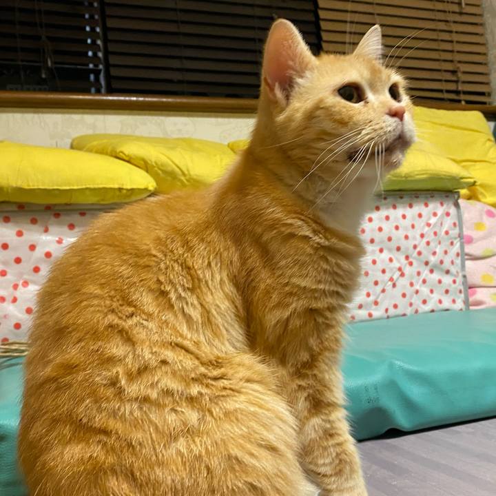 Bdd8dd51 088a 447a a249 49f498abe8a1 1609166086284