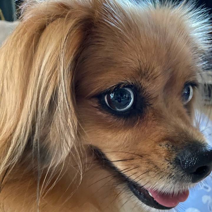 Bdd8e4f7 3bbe 472a b88c 526aeb2b6776 1597958754804