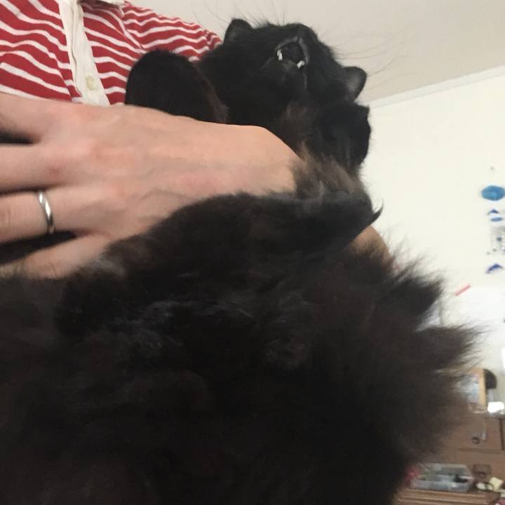 Bdd91859 cdb3 487a 9b37 487485e59da6 1532055349419