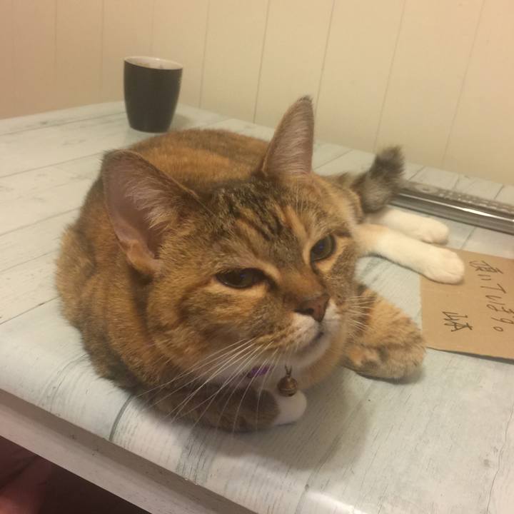 Bdd95aa0 727d 4a81 8a9c ba92b31b0633 1564505183165