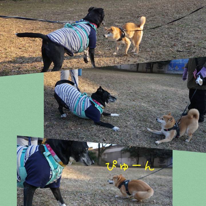 Bdd95d47 da05 41b9 a060 f4b854643f90 1769993207246