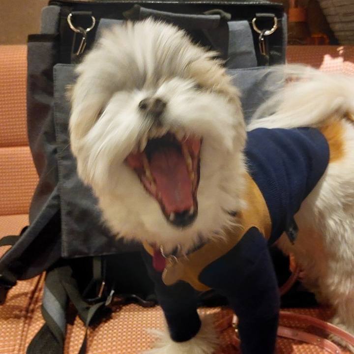 Bdd98f4e 1eee 4215 8046 f53394161878 1645959427660