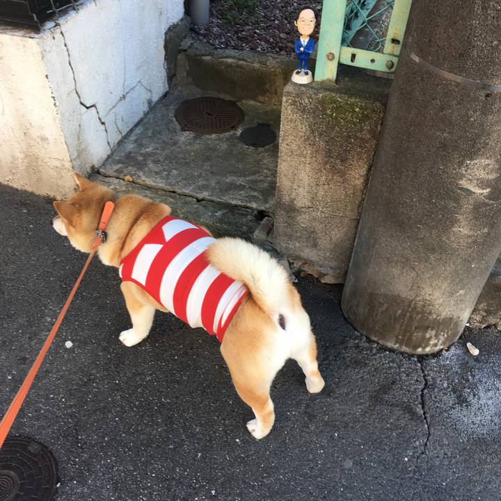 Bdd9b86b a2f5 4715 a65d bc93ef63b860 1548045810925